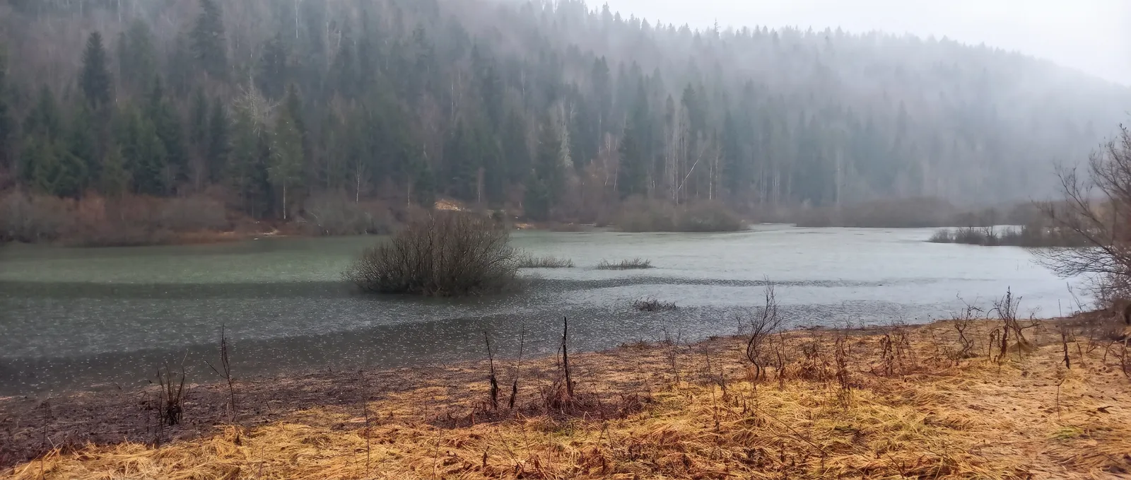 Un lac et sa forêt dans la brume