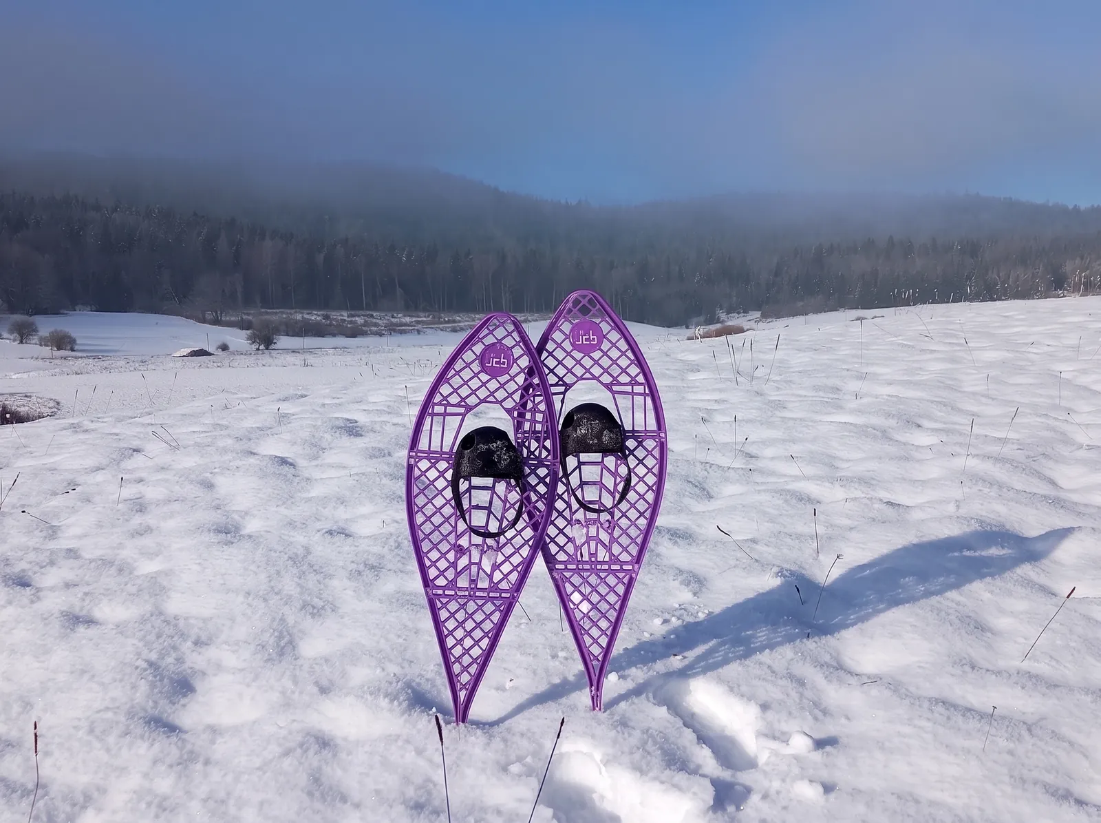 Une paire de raquettes plantée dans la neige, devant la forêt